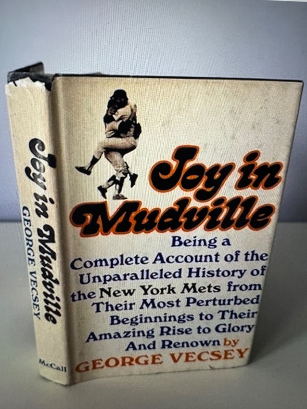 Joy In Mudville - Picture 7 of 8